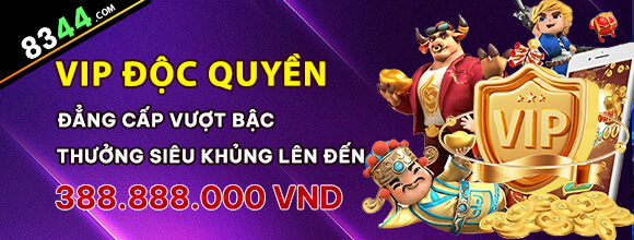 Hình ảnh quảng cáo của b29 hiển thị nền tảng và các lợi ích