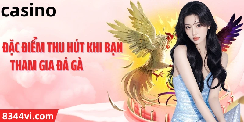 Hình ảnh quảng cáo của b29 hiển thị nền tảng và các lợi ích