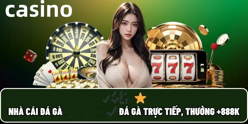 Hình ảnh quảng cáo của b29 hiển thị nền tảng và các lợi ích