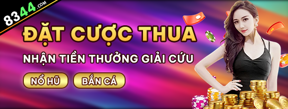 Hình ảnh quảng cáo của b29 hiển thị nền tảng và các lợi ích