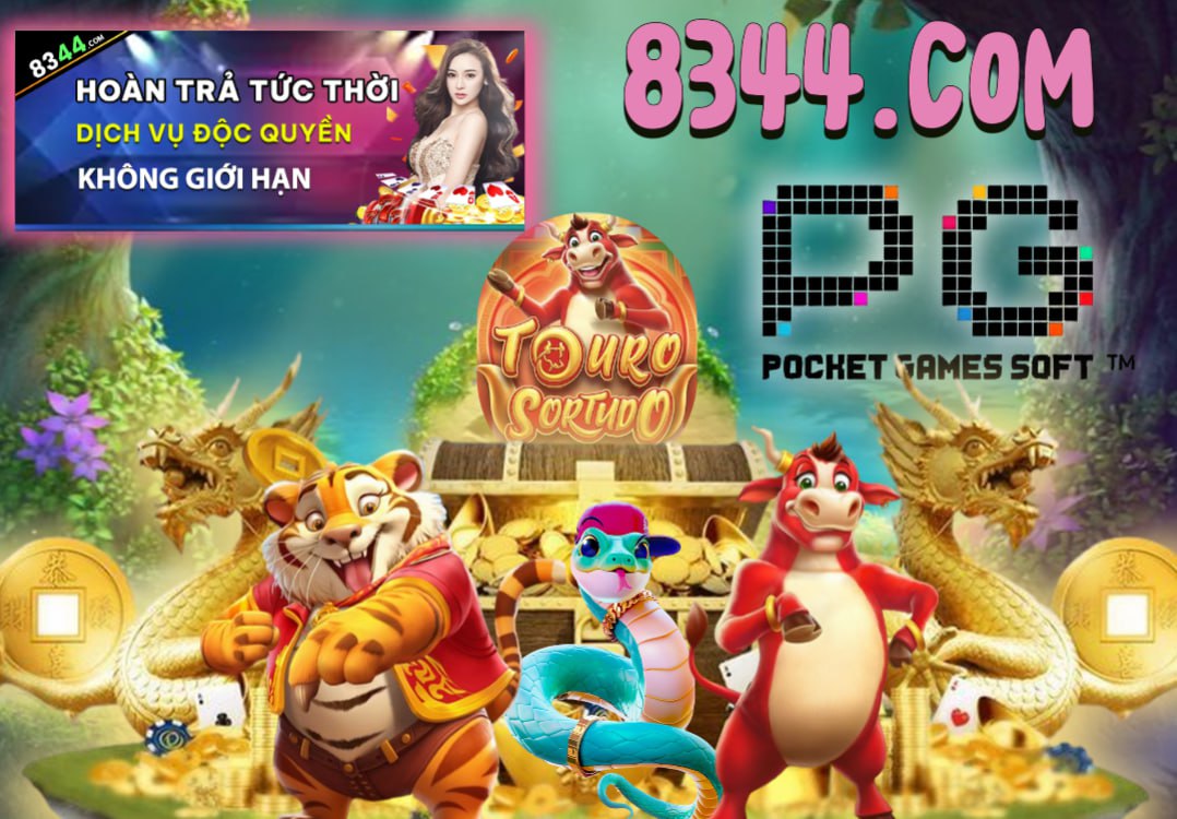 Hình ảnh quảng cáo của b29 hiển thị nền tảng và các lợi ích