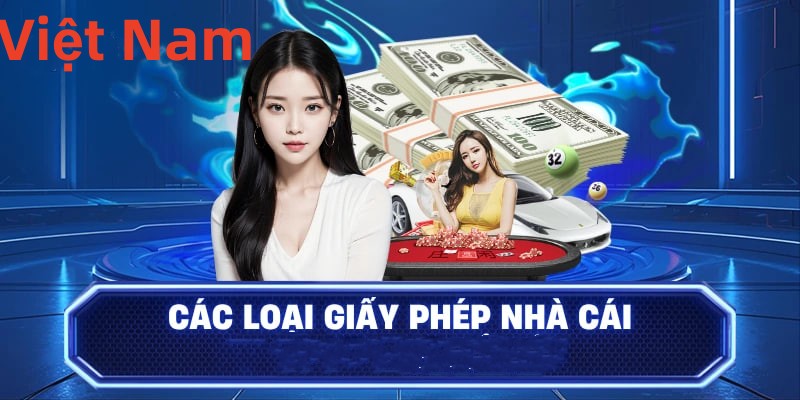Hình ảnh quảng cáo của b29 hiển thị nền tảng và các lợi ích