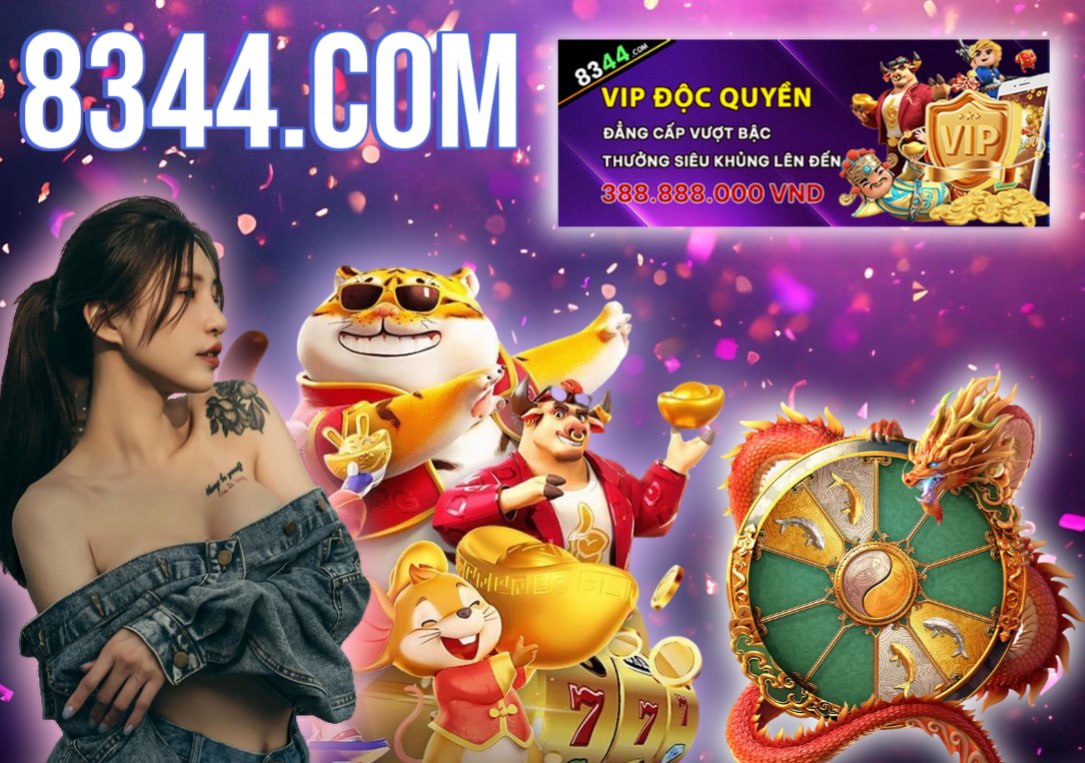 Hình ảnh quảng cáo của b29 hiển thị nền tảng và các lợi ích