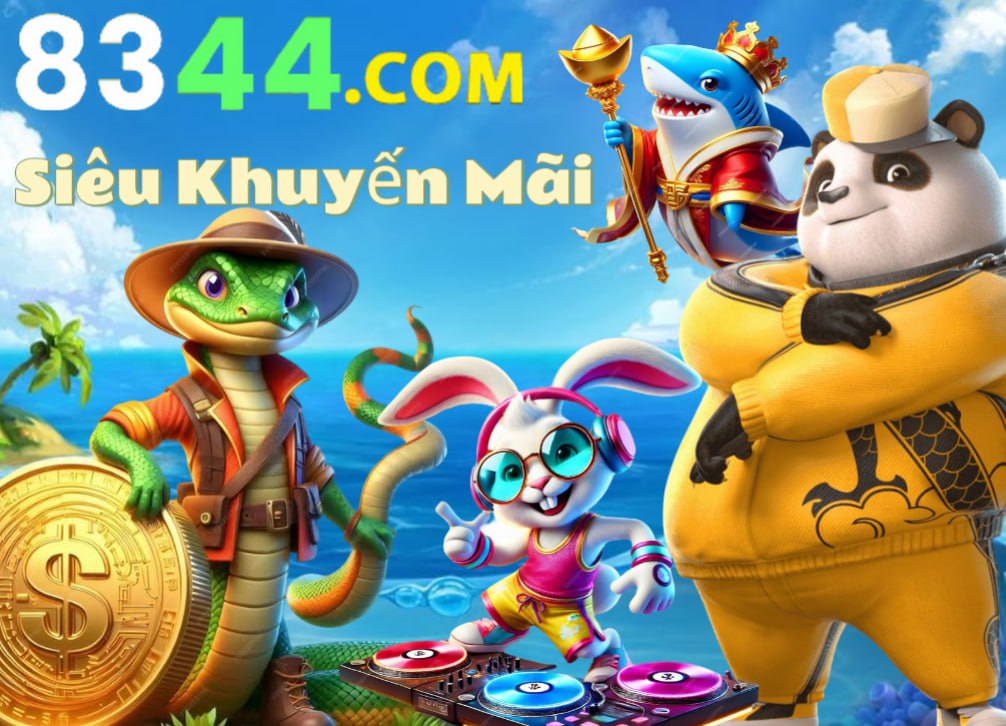Hình ảnh quảng cáo của b29 hiển thị nền tảng và các lợi ích