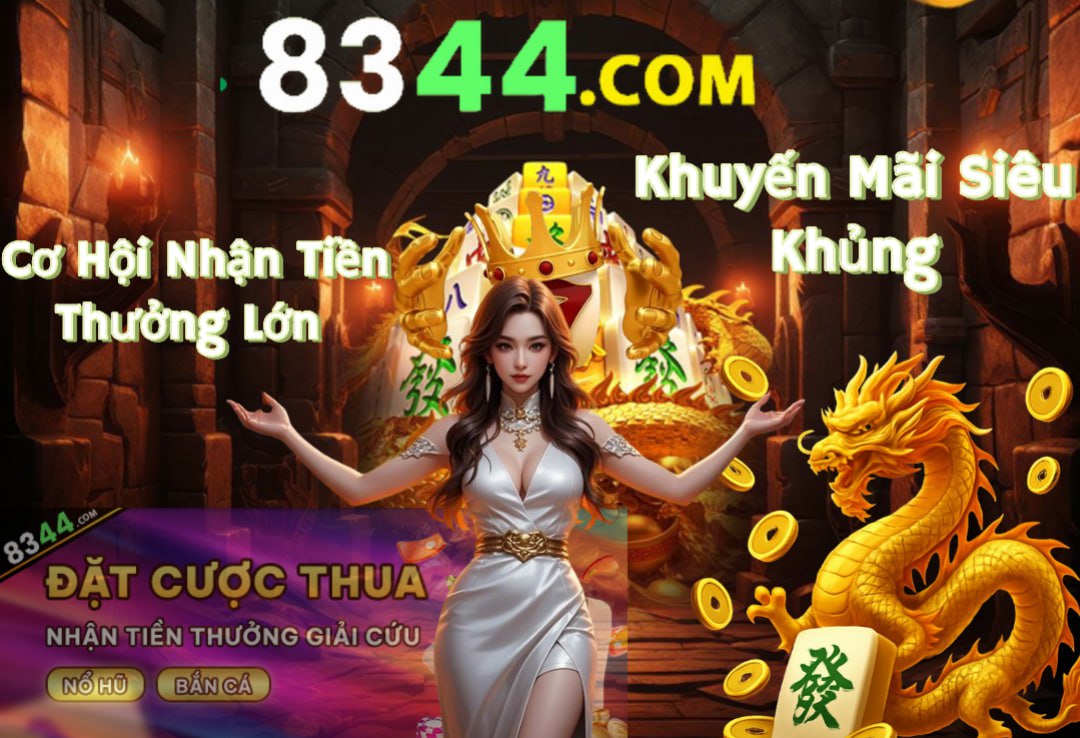 Hình ảnh quảng cáo của b29 hiển thị nền tảng và các lợi ích