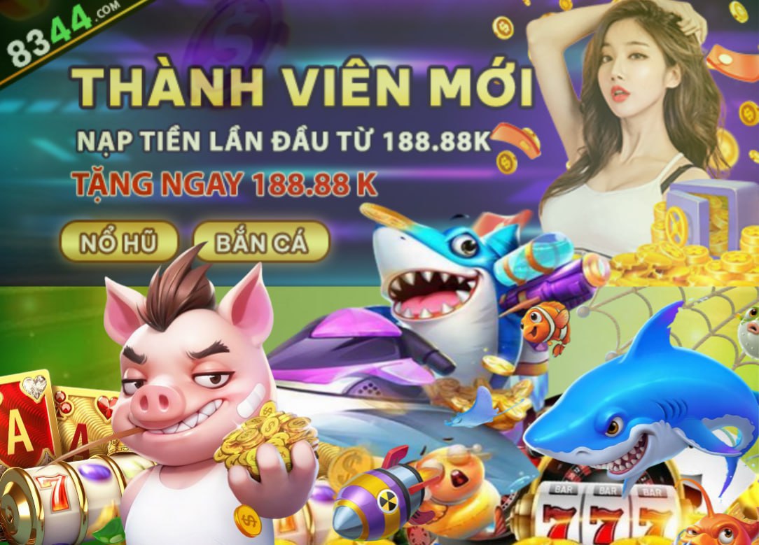 Hình ảnh quảng cáo của b29 hiển thị nền tảng và các lợi ích