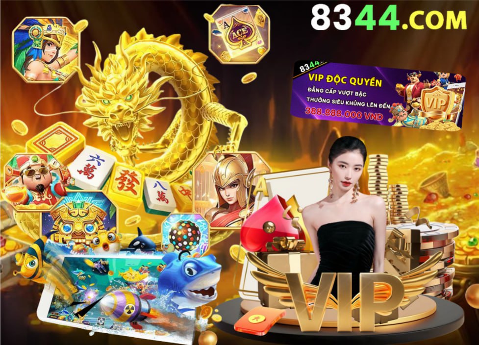 Hình ảnh quảng cáo của b29 hiển thị nền tảng và các lợi ích