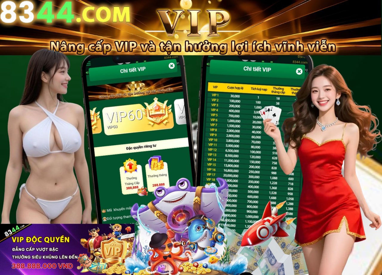 Hình ảnh quảng cáo của b29 hiển thị nền tảng và các lợi ích