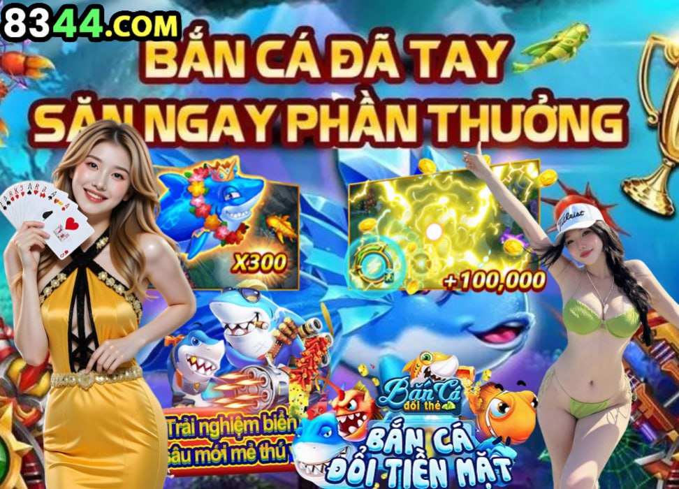 Hình ảnh quảng cáo của b29 hiển thị nền tảng và các lợi ích